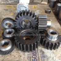 spur gear